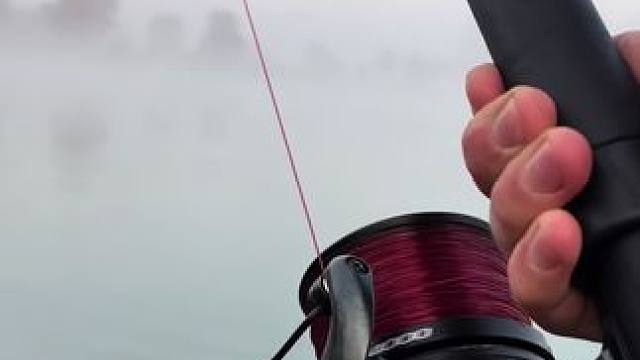 这声音上头#这鱼哪个钓友看了不羡慕 #每个钓鱼人都有个百斤巨物梦