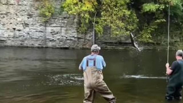 #钓鱼的乐趣只有钓鱼人懂 #这鱼哪个钓友看了不羡慕