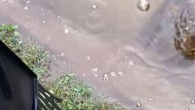 清理堵塞的排水口 #下雨天 #堵塞 #排水口 #舒适