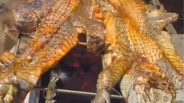 #烤鳄鱼 #冬天必须来顿烤全羊 #鳄鱼 #舌尖上的美食