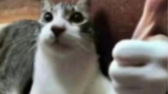 没有任何困难能阻止他的脚步！ #马拉松 #残疾人 #体育精神