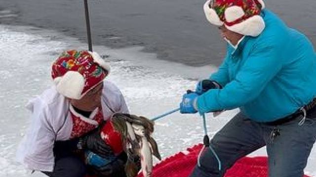 #户外捕鱼 #好多鱼