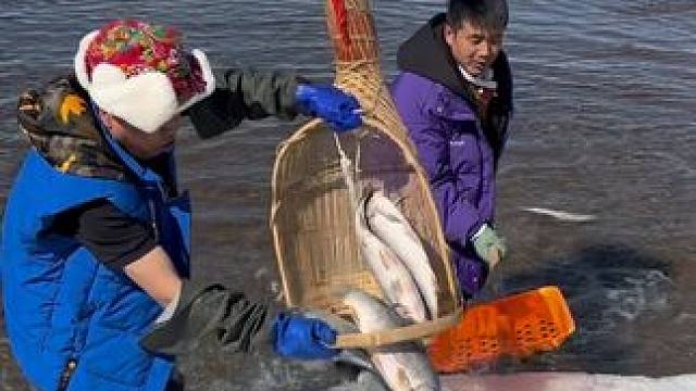 #户外捕鱼 #好多鱼