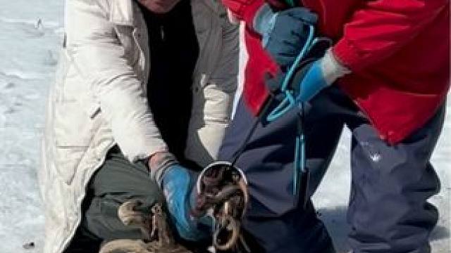 #户外捕鱼 #好多鱼