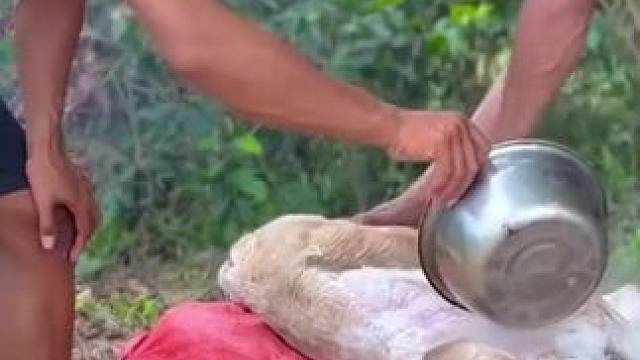 碳烤拳王 #我的乡村生活 #农村美食记录生活 #原始美味 #烤全羊