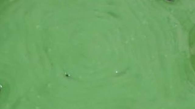 《怪味始皇》点击左下角链接，下载书旗小说，即可看到后续