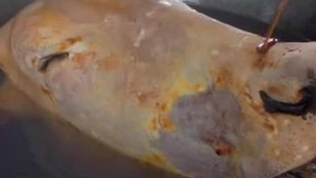 牛头宴 #农村美食记录生活 #舌尖上的美食 #农村生活 #乡村味道