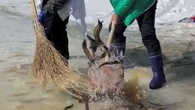 #户外捕鱼 #好多鱼