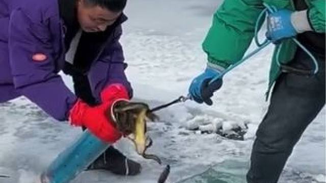 #户外捕鱼 #好多鱼