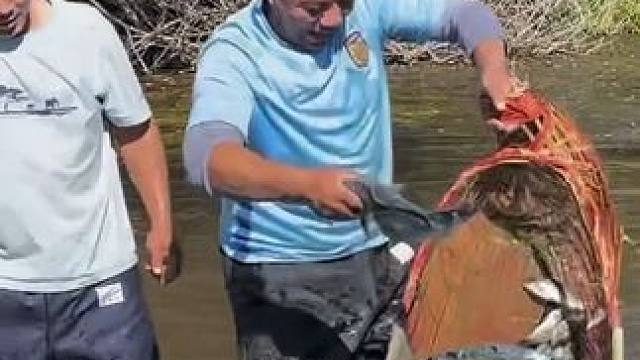 #户外捕鱼 #好多鱼