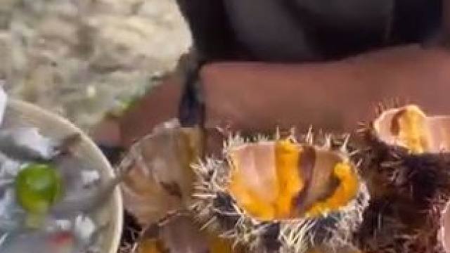 美味小海鲜一口一蹦跶#户外美食 #快来一起尝个鲜 #在户外搞一顿海鲜大餐吃吃