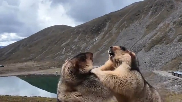 旅游景点的表演节目