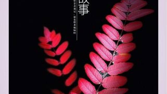 一招教你把几片不起眼的树叶拍出创意大片#手机摄影 #秋天落叶 #把秋日落叶拍出氛围感 #属于秋天的颜