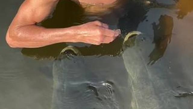 #这鱼哪个钓友看了不羡慕 #钓鱼的乐趣只有钓鱼人懂