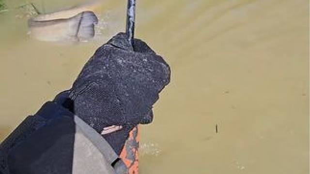 #这鱼哪个钓友看了不羡慕 #每个钓鱼人都有个百斤巨物梦 #秋高气爽正是钓