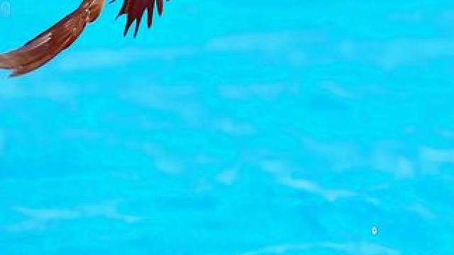 我发布了一个新视频，快来围观吧！