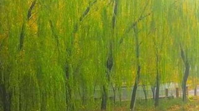 #云雾缭绕人间仙境 ！