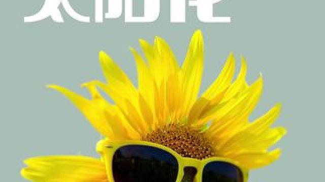 18秒一块来做个手工太阳花，发挥你的创意想象力#手工 #手工diy #手工制作 #手工纸花 #亲子时