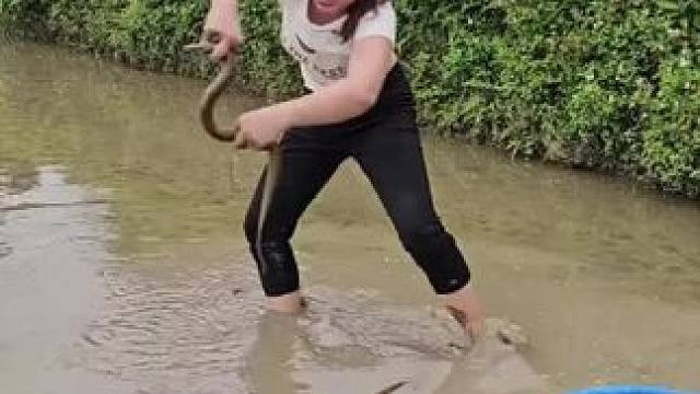 抓黄鳝#荒野建造 #我的乡村生活 #农村生活 #三农 #美女