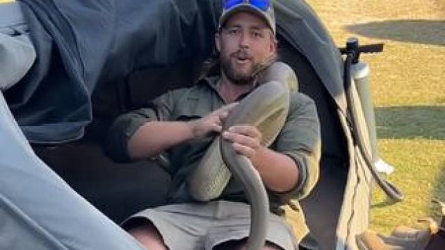 和宠物一起休息 #国外视频分享 #奇妙的动物 #宠物