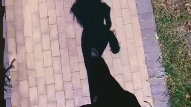 最早的开始是清晨