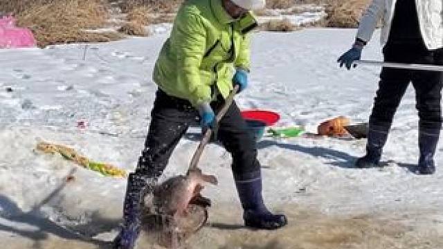 #户外捕鱼 #好多鱼