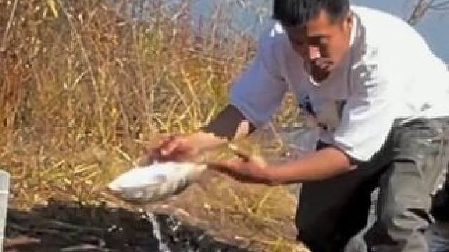 #户外捕鱼