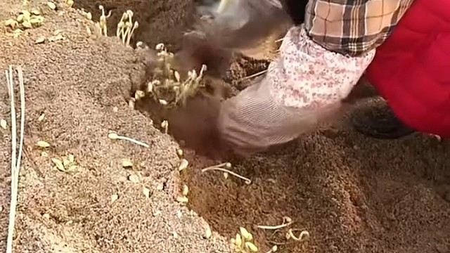 看了真不错受启发！