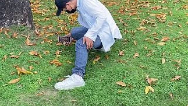 满地落叶试试这样拍#手机摄影 #拍摄技巧 #秋天落叶 #治愈系风景 #随手一拍都是美景