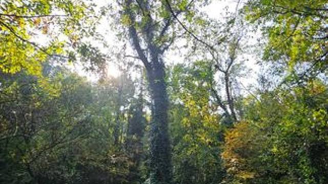 迷路了怎么办
#户外 #风景 #每一帧都是热爱 #大自然 #治愈系风景