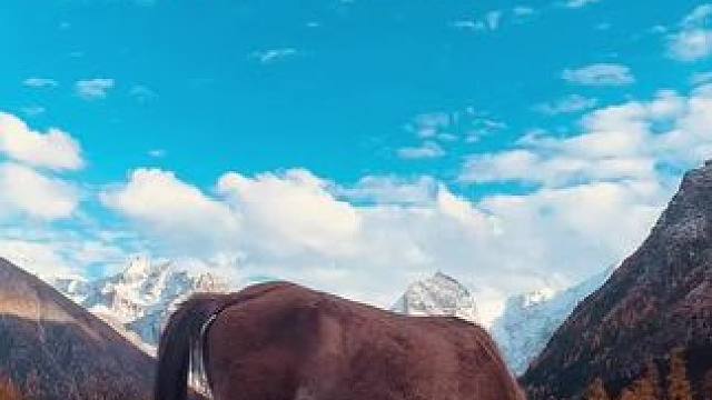 我发布了一个新视频，快来围观吧！