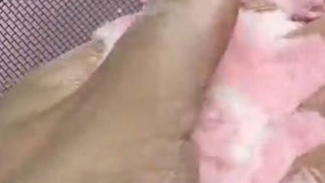 《怪味断亲》点击左下角链接，下载书旗小说，即可看到后续