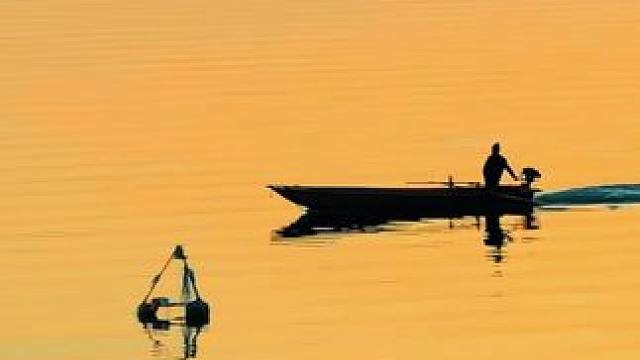 包出片的#机车 #鱼灯 #无极660rr