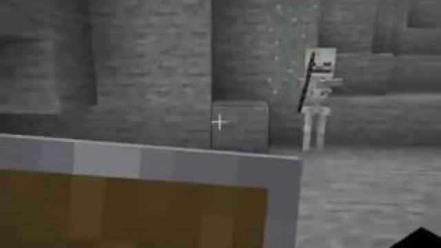 #我的世界 #Minecraft