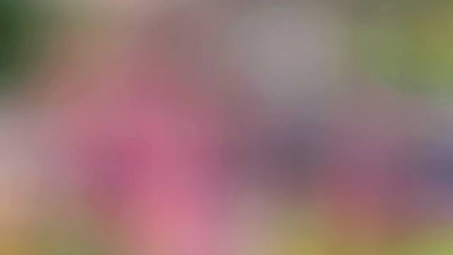 旁观都是风景#路过我的生活 #小盆友的日常 #孩童时光 #get新技能