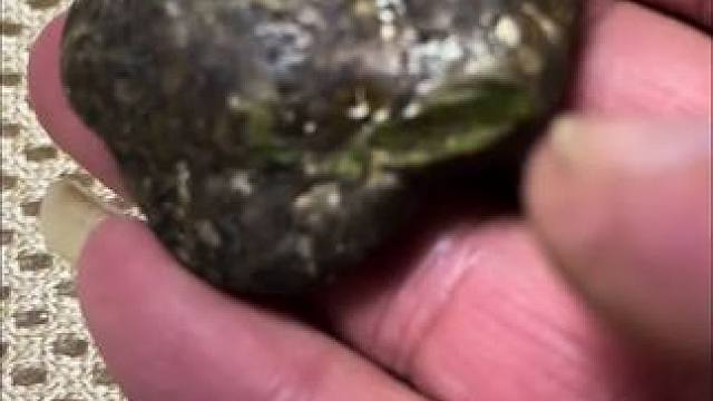 #陨石文化交流，以石会友广交天下朋友#难得一见 #不一样的美 #可遇不可求