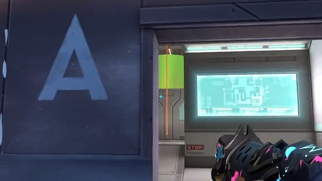 让我们来猜一下蝰蛇在哪里？