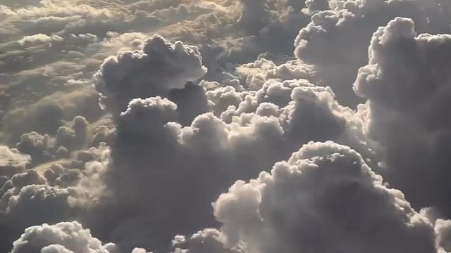 忽视那些莫名的悸动，学会在自己的世界里生动。