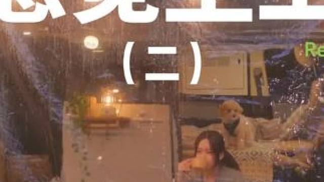 感觉至上（二）#露营 #助眠 #极度舒适 #萌宠 #户外露营