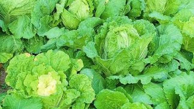 #远离城市的喧嚣 #惬意的农村生活 #走进大山深处 #乡村烟火气最抚凡人心 #隐藏在大山里的世外桃源