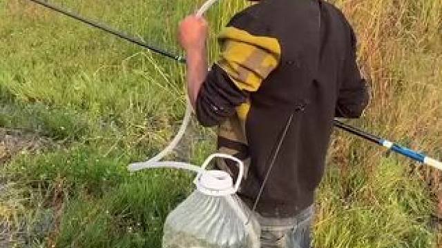 户外钓鱼，用了这个办法鱼儿再也不怕没有氧气用了！#钓鱼 #钓鱼只有钓鱼人懂 #农村生活 #搞笑