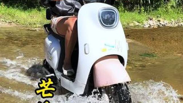 今天这道菜相当满意了喂 #凉拌菜#大自然的馈赠#地方特色美食#双凤