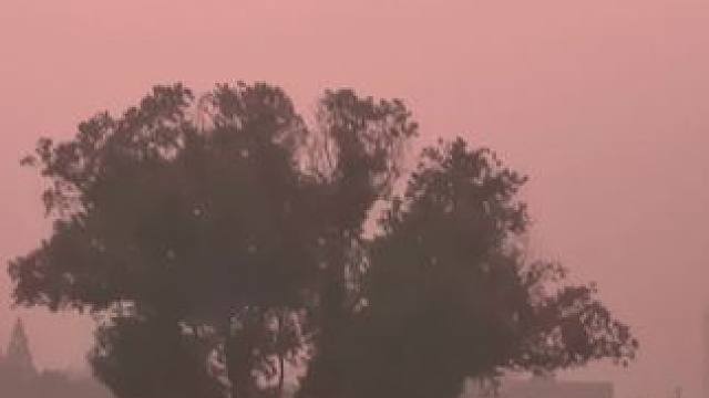 #身边的风景 #大雾弥漫