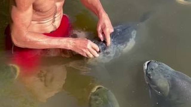 #这鱼哪个钓友看了不羡慕 #钓鱼的乐趣只有钓鱼人懂