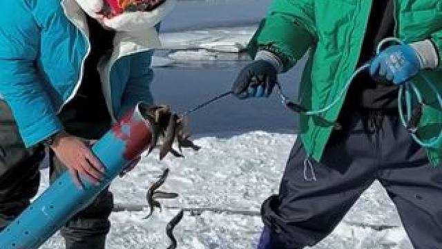 #户外捕鱼 #好多鱼