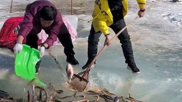 #户外捕鱼 #好多鱼