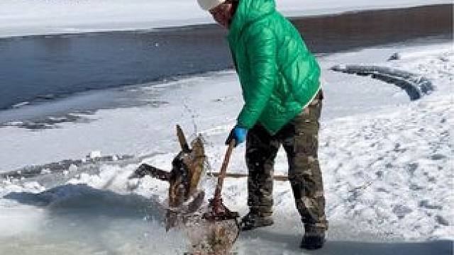 #户外捕鱼 #好多鱼