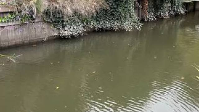 最后一把是王者！！！ #玩个很新的东西 #鱼竿 #男人简单的快乐