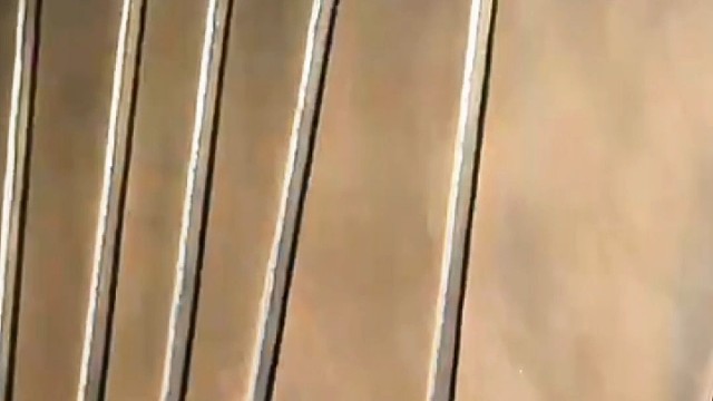 来看看我们的锻打铜门吧