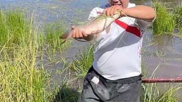 #户外捕鱼 #好大一条鱼